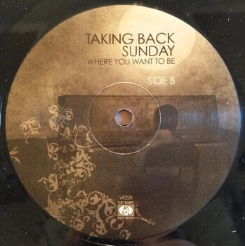 Δίσκος LP Taking Back Sunday Where You Want to Be (LP) - 3