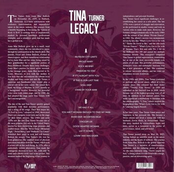 Vinyl Record Tina Turner - Legacy (Marbled Coloured) (Limited Edition) (180 g) (LP) - 3