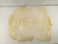 Terre Goat Skin NT 70-80cm Opna za udaraljke