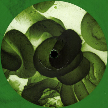 Disc de vinil Type O Negative - World Coming Down (Limited Edition) (Reissue) (Green Coloured) (2 LP) - 5