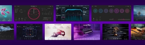 Logiciel de studio Plugins d'effets Native Instruments Komplete 15 Collectors Edition UPD (Produit numérique) - 2