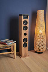 Partybox Thomson DS122CD Natural-Black Partybox - 6