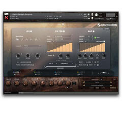 Sample/Lydbibliotek Soundiron Hopkin Instrumentarium: Squiggly-Amejewar - 3