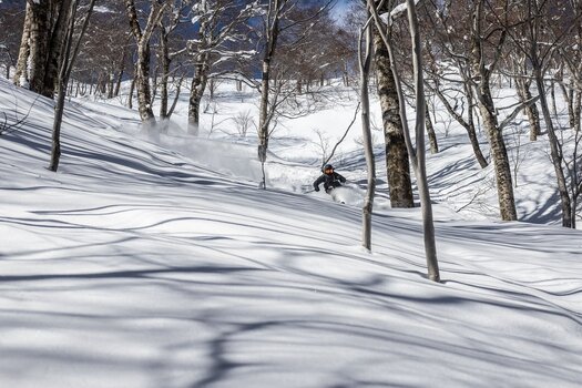 Masques de ski Majesty The Force Arc Black/Color/Xenon HD Rose Revo Masques de ski - 27