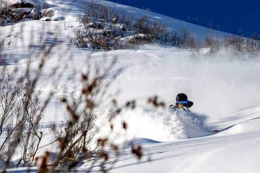 Masques de ski Majesty The Force C Black/Black / Black Pearl + Xenon HD Masques de ski - 15