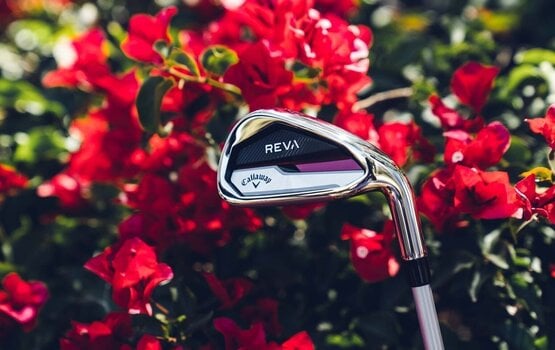 Σετ Γκολφ Callaway REVA Ladies Set 2024 Δεξί χέρι Γραφίτης Lady Σετ Γκολφ - 25