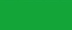 Gouache-maling Kreul Kids Art Artists' Gouache maling Permanent Green 75 ml 1 stk. - 1