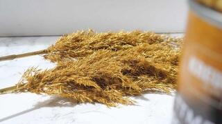 Gold-Plating Kreul 994400 Metallic Spray Gold 400 ml - 4