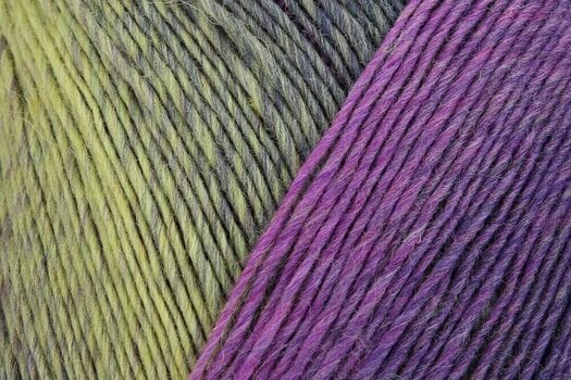 Knitting Yarn Regia Virtuoso Color Forget Me Not Knitting Yarn - 2