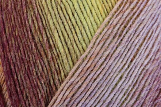 Knitting Yarn Regia Virtuoso Color Chianti Tasting Knitting Yarn - 2