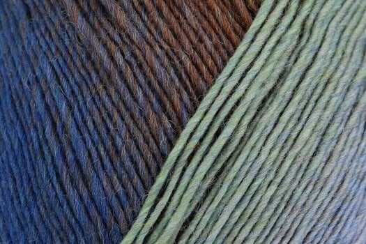 Knitting Yarn Regia Virtuoso Color Pale Summer Day Knitting Yarn - 2