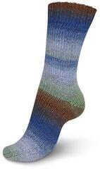 Przędza dziewiarska Regia Virtuoso Color Pale Summer Day Przędza dziewiarska - 2