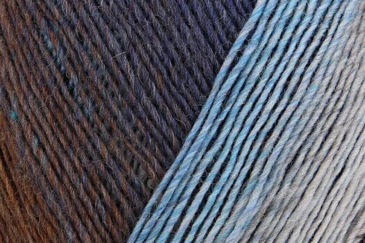 Knitting Yarn Regia Virtuoso Color Nordic Landscap Knitting Yarn - 2