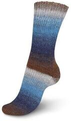 Kudumislõng Regia Virtuoso Color Nordic Landscap Kudumislõng - 2