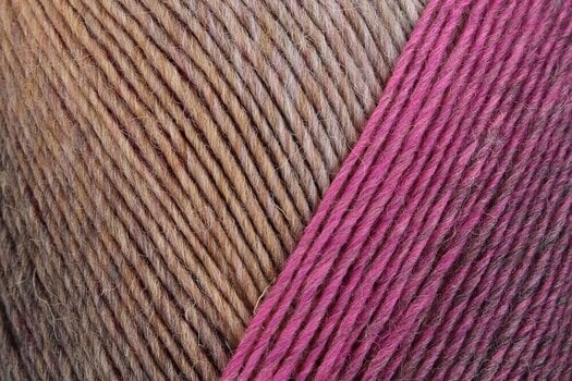 Knitting Yarn Regia Virtuoso Color Lazy Afternoon Knitting Yarn - 2