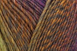 Przędza dziewiarska Regia Virtuoso Color Heather Color Przędza dziewiarska - 1