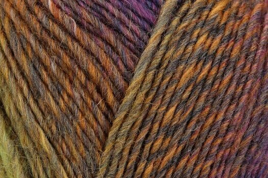 Stickgarn Regia Virtuoso Color Heather Color Stickgarn - 2