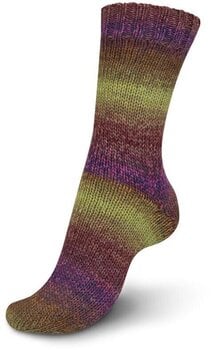 Stickgarn Regia Virtuoso Color Heather Color Stickgarn - 3