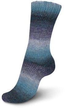 Strickgarn Regia Virtuoso Color Transparence Color Strickgarn - 3