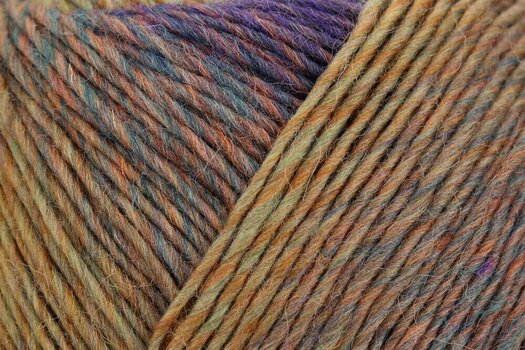 Strickgarn Regia Virtuoso Color Preppy Style Color Strickgarn - 2