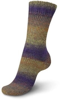 Strickgarn Regia Virtuoso Color Preppy Style Color Strickgarn - 3