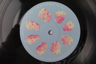 LP ploča Glass Animals - Dreamland (180 g) (LP) - 1