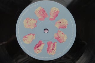 LP ploča Glass Animals - Dreamland (180 g) (LP) - 2