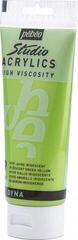 Culoare acrilică Pébéo 69.2060 Vopsea acrilică 359 Iridescent Green Yellow 100 ml 1 buc. - 2