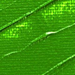 Culoare acrilică Pébéo 69.2047 Vopsea acrilică 61 Green Earth 100 ml 1 buc. - 1