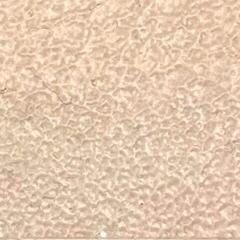 Leather/Faux leather paint Pébéo Setacolor Leather Paint 19 Pink Beige 45 ml 1 pc - 3
