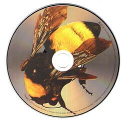 Musik-CD Tyler The Creator - Flower Boy (CD) - 1