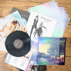 Koffer für LP-Platten Legend Vinyl LV21 LP-Cover 25 - 5