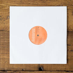 Koffer für LP-Platten Legend Vinyl LV20 LP-Cover 25 - 4