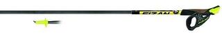 Nordic Walking palice Fizan NW Carbon 3K Race - - 2