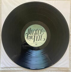 LP platňa Pierce The Veil - Collide With The Sky (LP) - 1