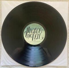 LP platňa Pierce The Veil - Collide With The Sky (LP) - 2