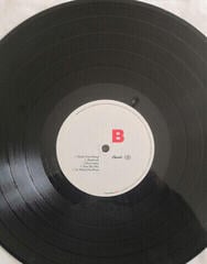 LP deska Beastie Boys - Beastie Boys Music (2 LP) - 3