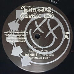 Schallplatte Blink-182 - Greatest Hits - Blink-182 (2 LP) - 2