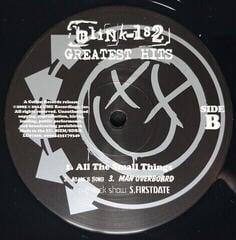 Schallplatte Blink-182 - Greatest Hits - Blink-182 (2 LP) - 3