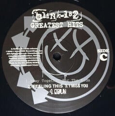 Schallplatte Blink-182 - Greatest Hits - Blink-182 (2 LP) - 4