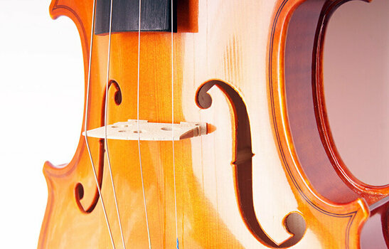 Violin Strunal Schönbach 1750 4/4 Academy Violin - 3