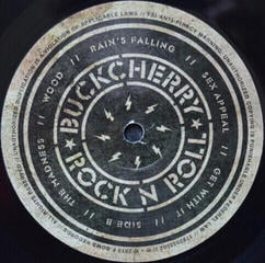 Schallplatte Buckcherry - Rock 'n' Roll (LP) - 2