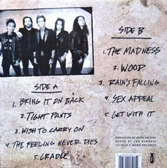 Schallplatte Buckcherry - Rock 'n' Roll (LP) - 3