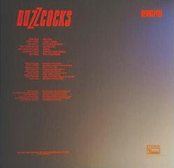 Vinylskiva Buzzcocks - Another Music In A Different Kitchen (LP) - 3