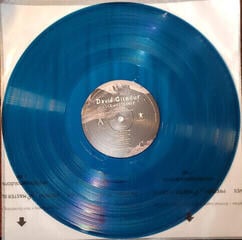 LP plošča David Gilmour - Luck and Strange (Translucent Sea Blue Coloured) (LP) - 2