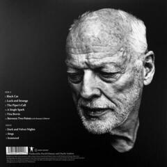 LP plošča David Gilmour - Luck and Strange (Translucent Sea Blue Coloured) (LP) - 6