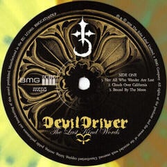 Disc de vinil Devildriver - The Last Kind Words (Remastered) (Yellow & Green Splatter) (2 LP) - 2