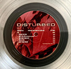 LP ploča Disturbed - Divisive (Limited Edition) (Clear Coloured) (LP) - 3