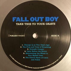 LP deska Fall Out Boy - Take This To Your Grave (Silver Vinyl) (LP) - 3