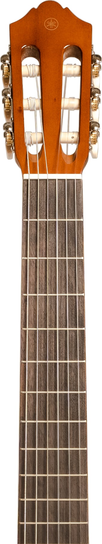 Fretboard